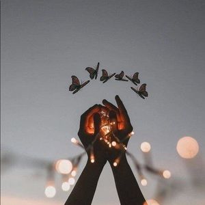 Meet your Posher, Brooklyne